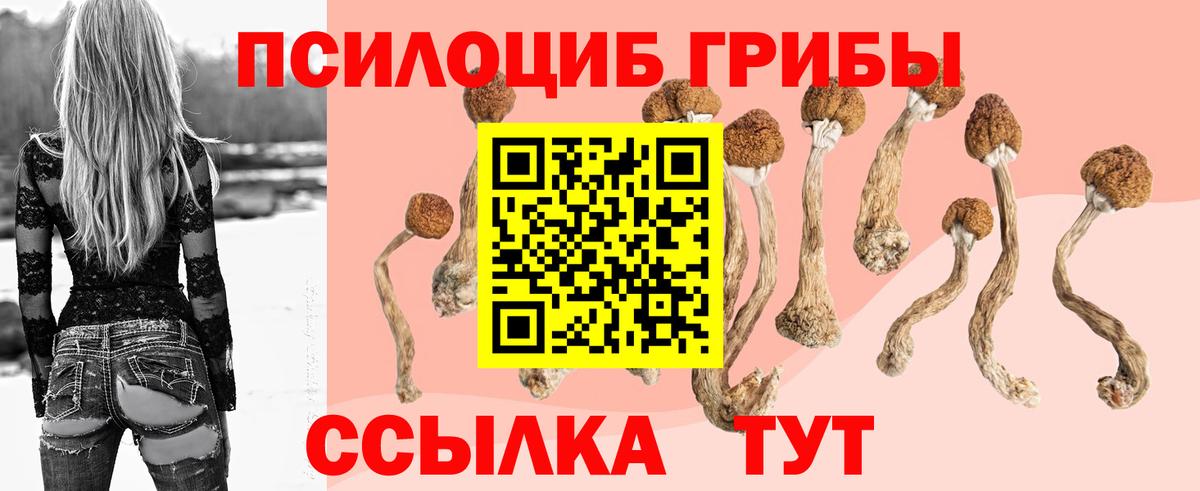 Псилоцибиновые грибы Psilocybine cubensis Ишимбай
